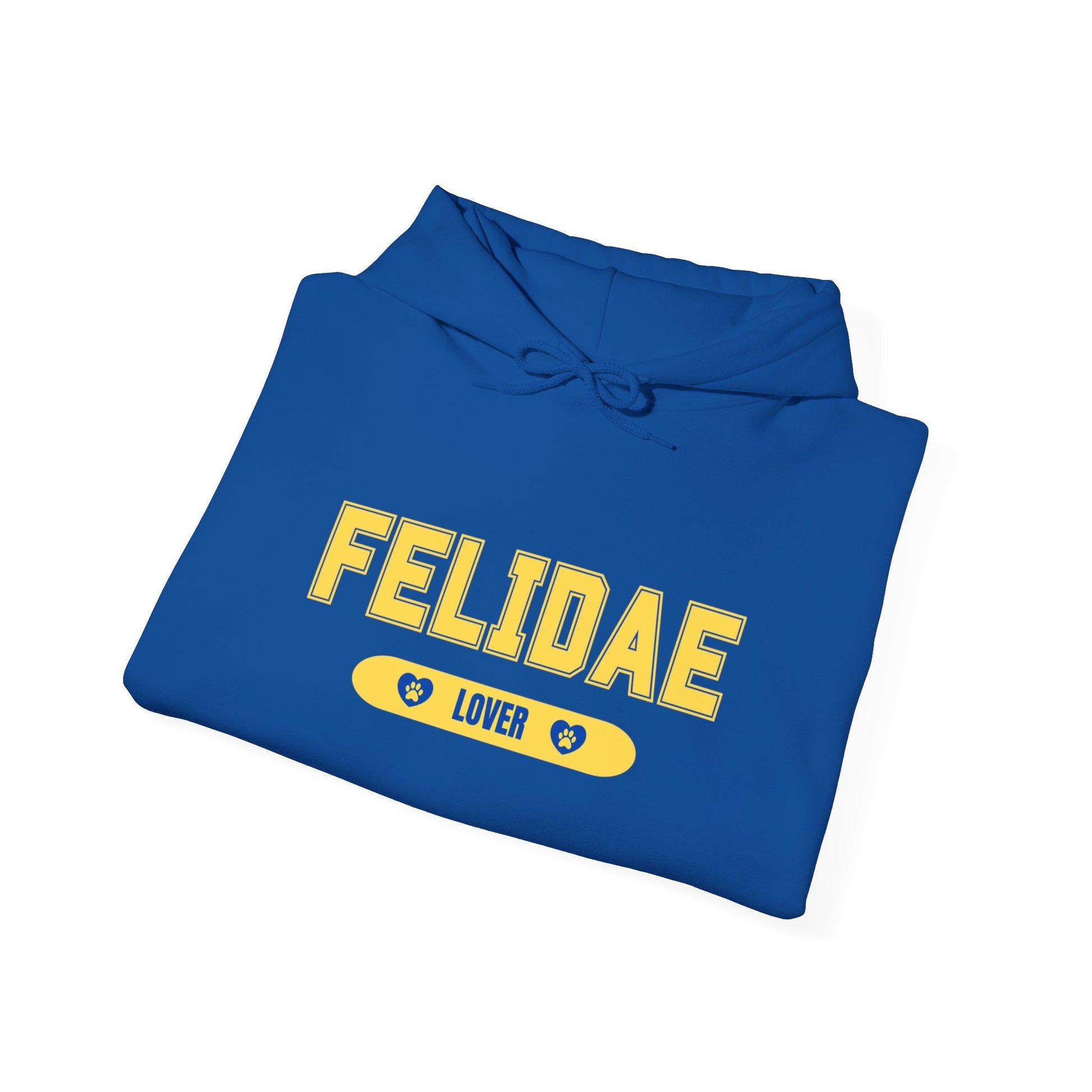 Felidae Lover Hooded Sweatshirt - Cozy College Style Hoodie for Cat Enthusiasts