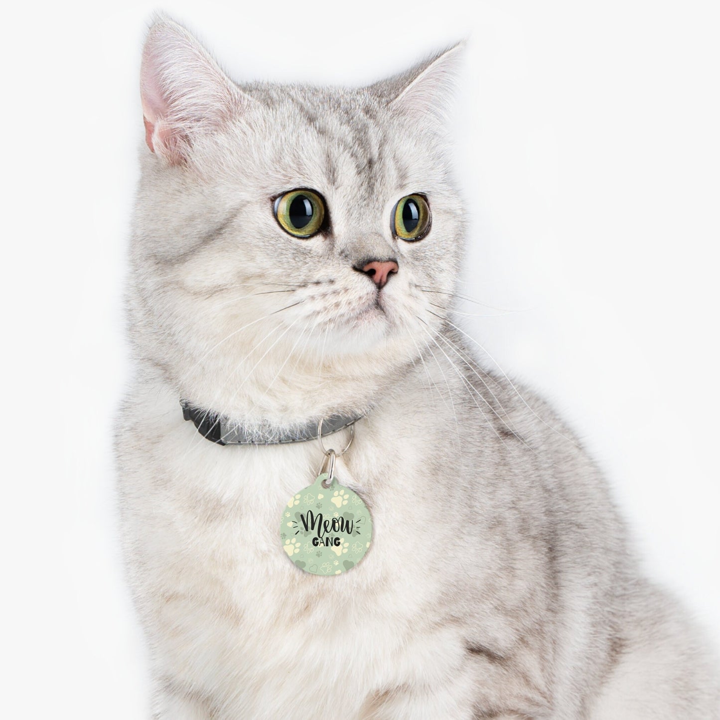 Light Green Paws Meow Gang Pet Tag