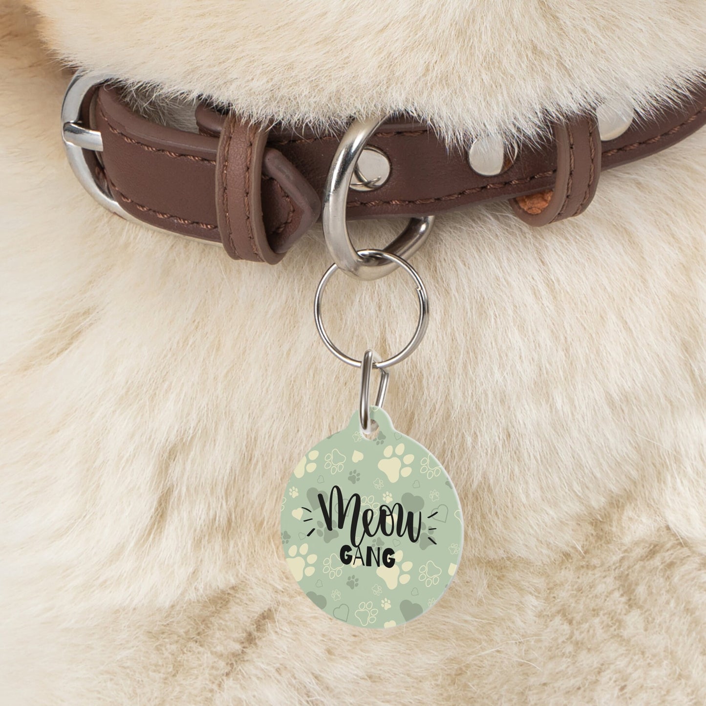 Light Green Paws Meow Gang Pet Tag