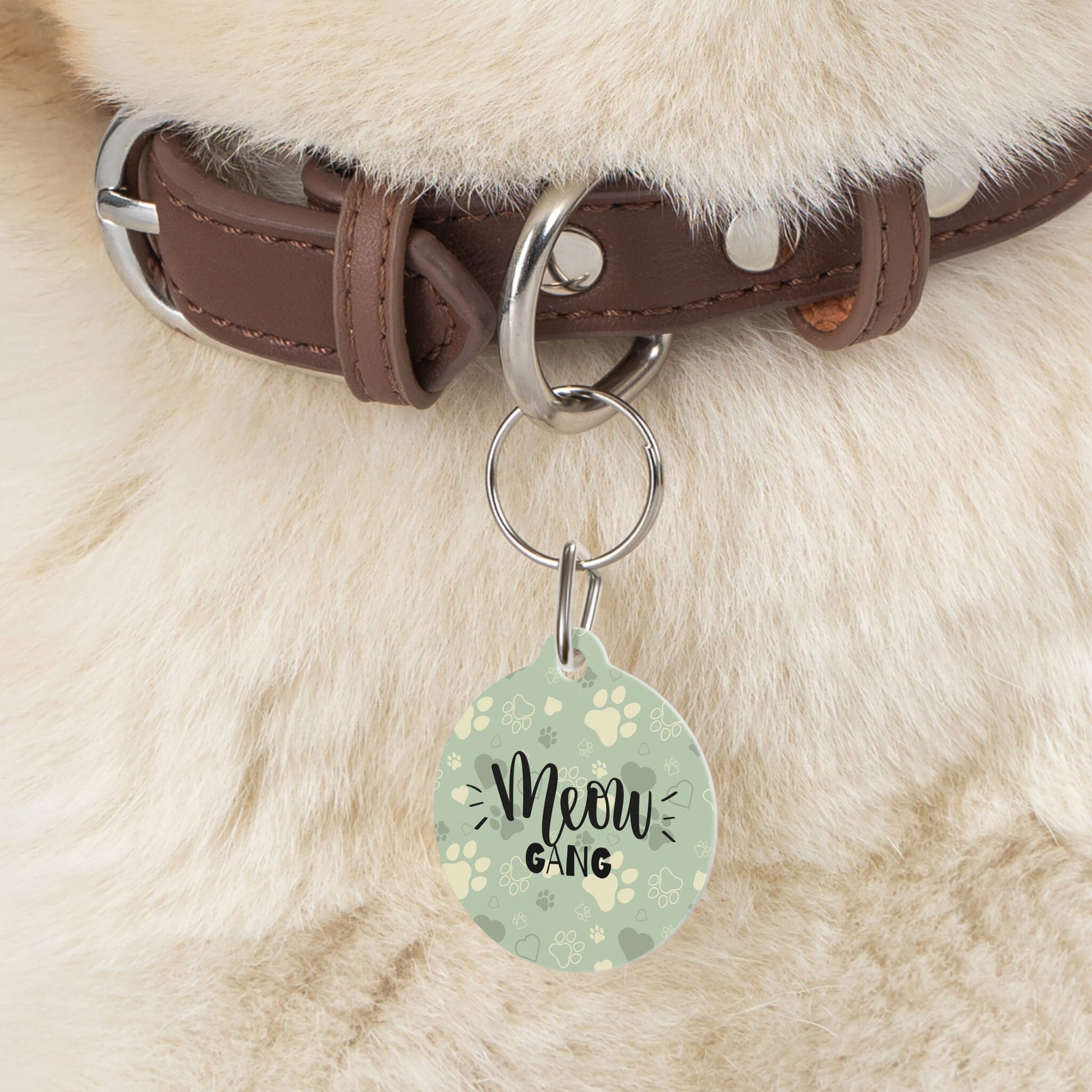 Light Green Paws Meow Gang Pet Tag