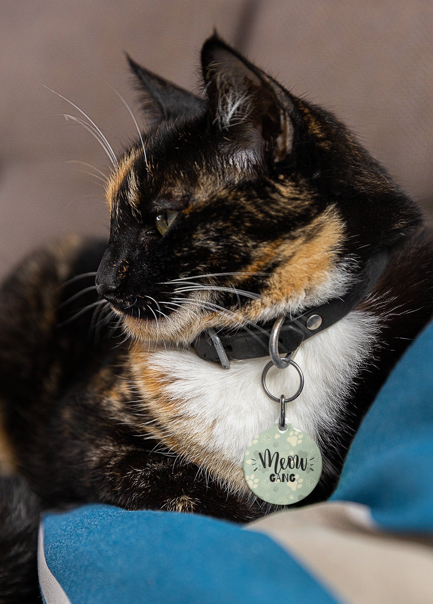 Light Green Paws Meow Gang Pet Tag