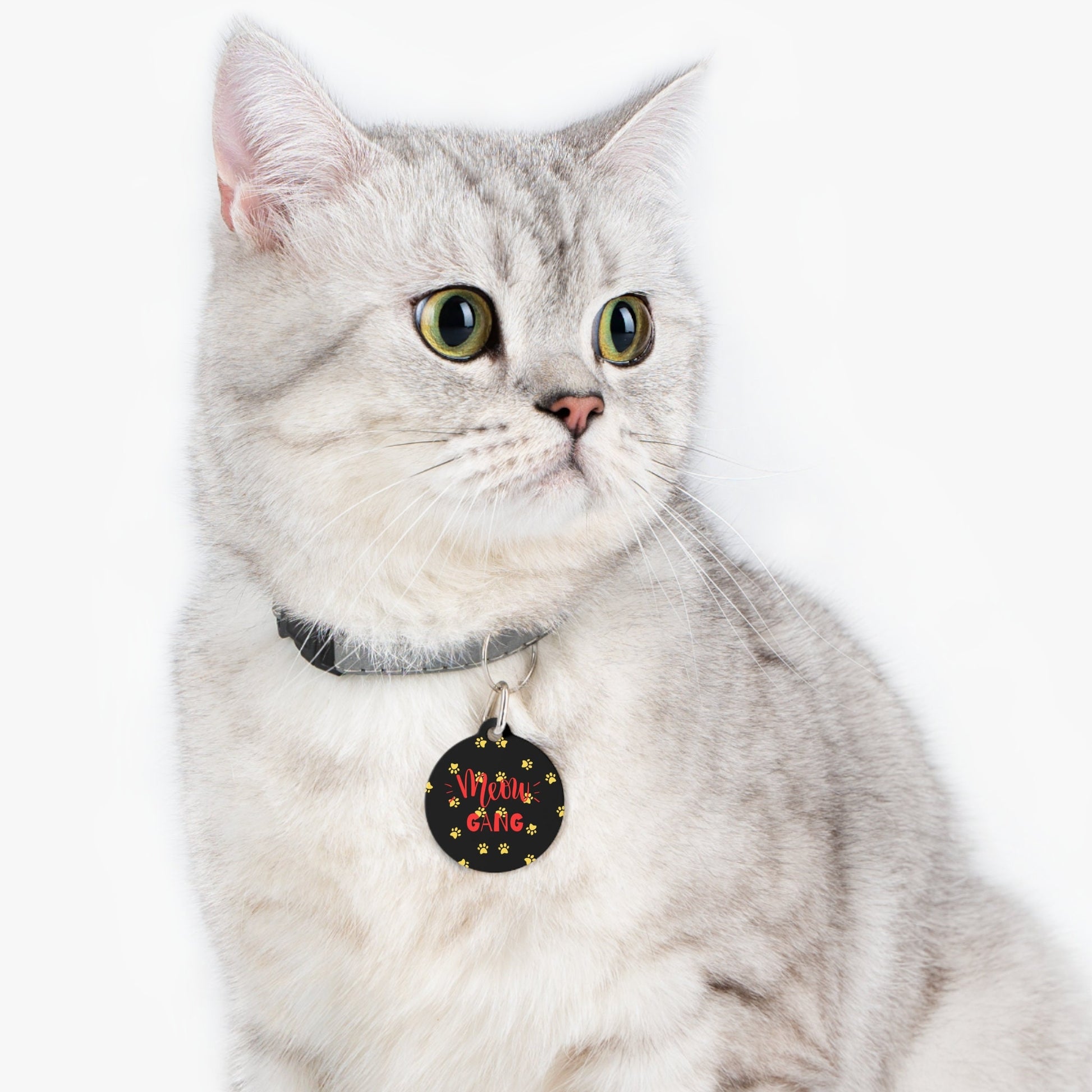 Yellow Paws Meow Gang Pet Tag